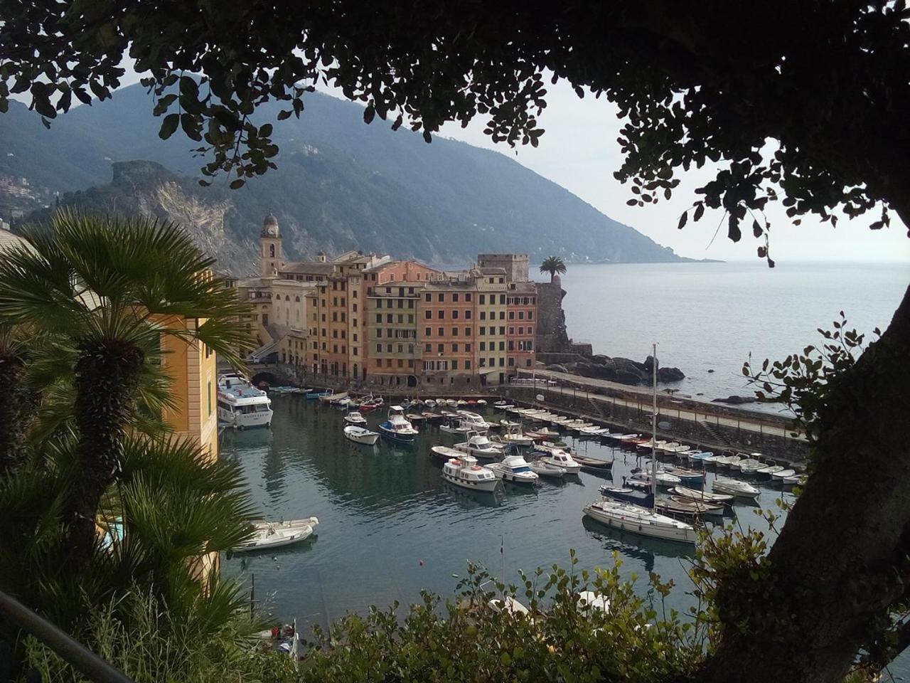 Casa Teresina A Camogli Apartment Exterior photo